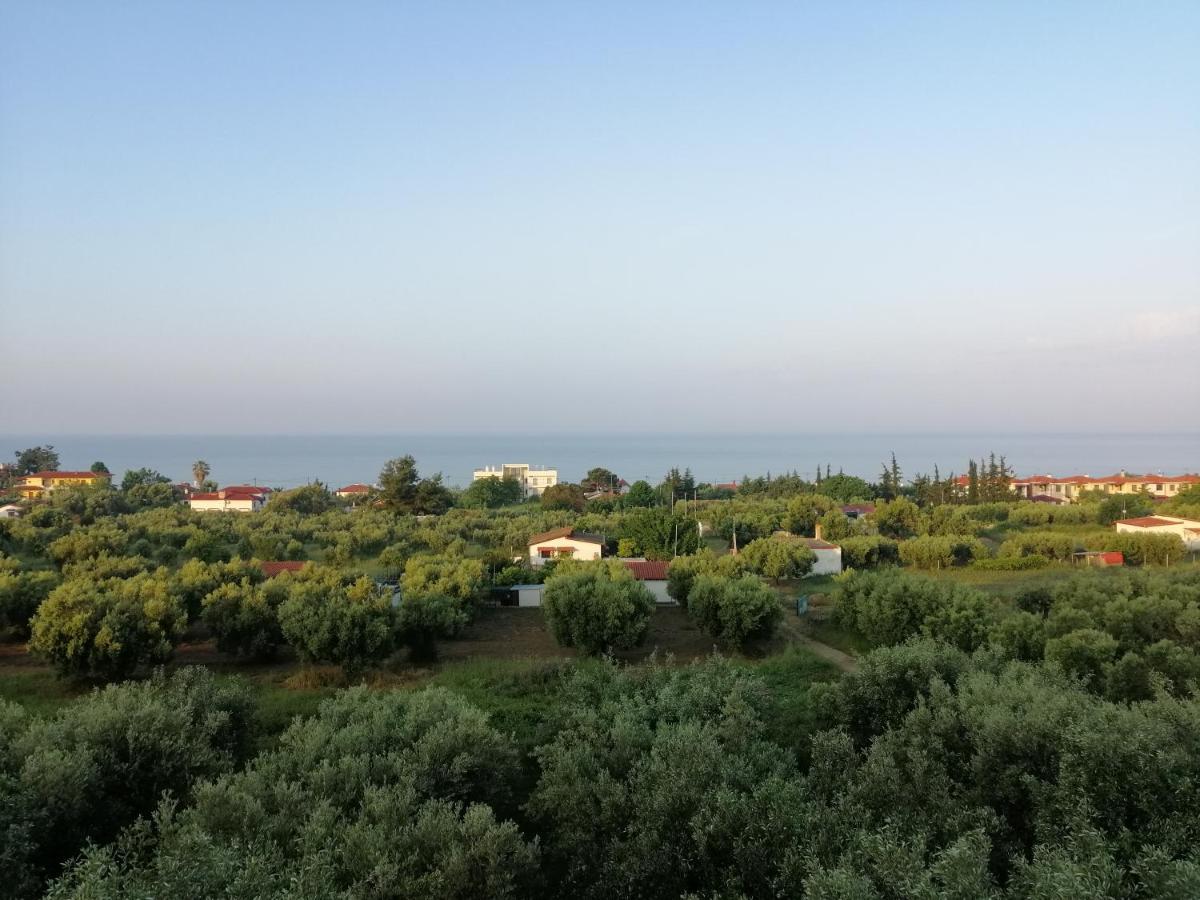 Herodicus Villa Nea Skioni Exterior foto