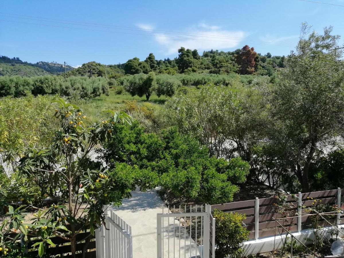 Herodicus Villa Nea Skioni Exterior foto